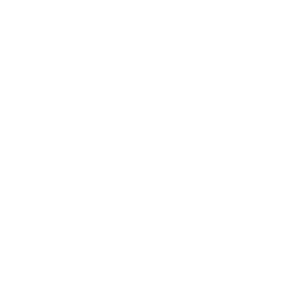 LinkedIn Icon