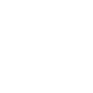 TikTok Icon