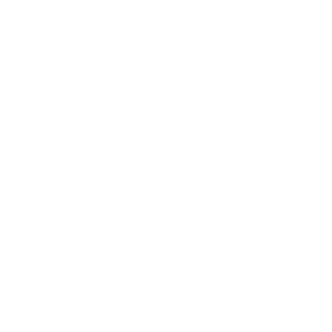 Youtube Icon